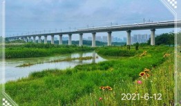 乐山企业爆料最新消息,揭秘行业动态与重大突破！