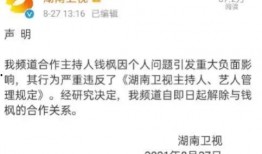 湖南娱乐圈爆料视频,揭秘明星幕后真相
