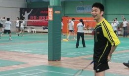 羽毛球明星爆料视频在线观看,揭秘赛场背后的故事